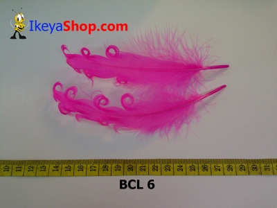 bulu curly BCL 6   feather  large2